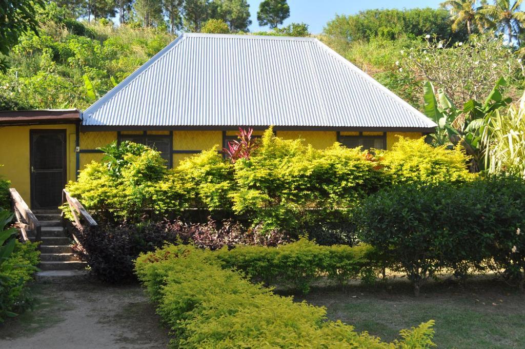 Ratu Kini Backpackers And Dive Resort Mana Island Bilik gambar