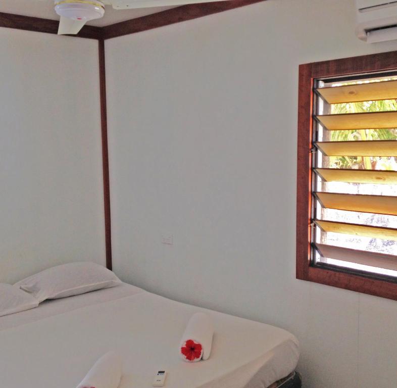 Ratu Kini Backpackers And Dive Resort Mana Island Bilik gambar
